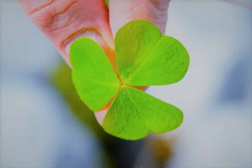 The shamrock is a metaphor for our triune God.