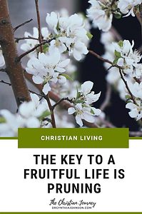 The key to a fruitful life is pruning 