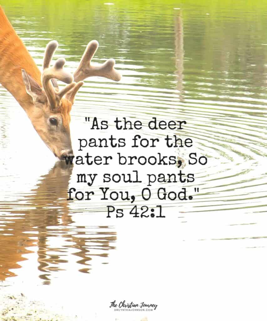 "As the deer pants for the water brooks, So my soul pants for You, O God." 
Ps 42:1